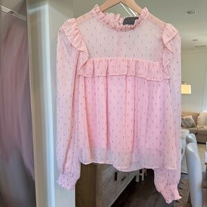 Sunday in Brooklyn Women’s Chiffon Blouse Sheer Long Sleeve in Pink